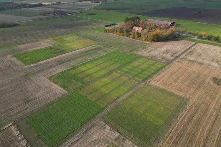 Fält omkring en gård. Olika gräsytor syns uppifrån via drönare.